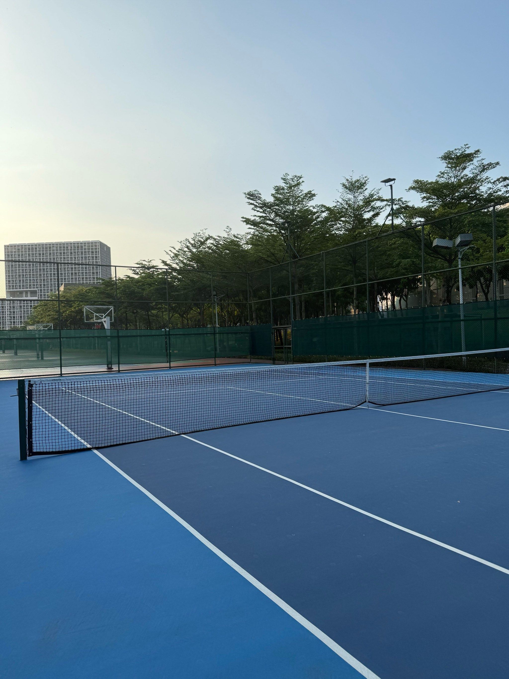 在欧洲足坛 在欧洲足坛